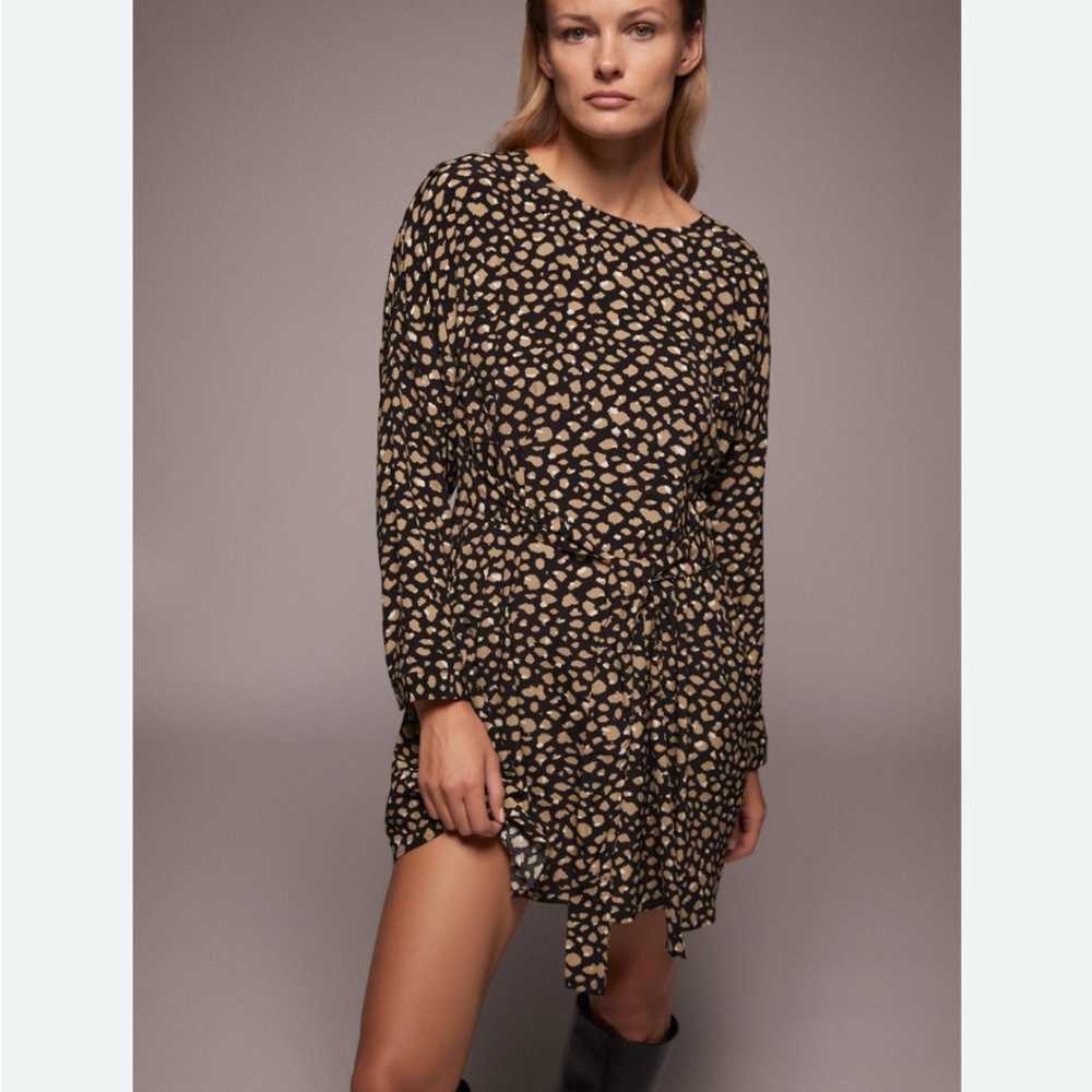 Zara Animal Print Long Sleeve Dress